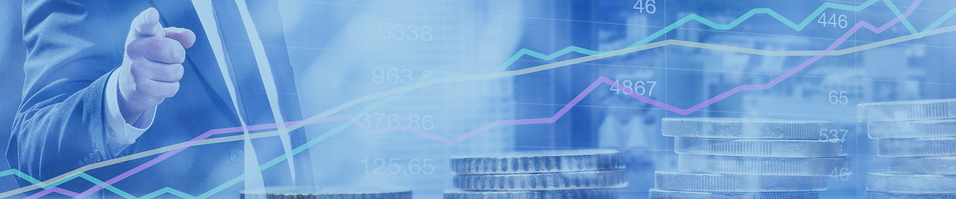 Grundlagen Kapitalanlagen - Basisrisiken in der Vorsorge-/Investmentberatung