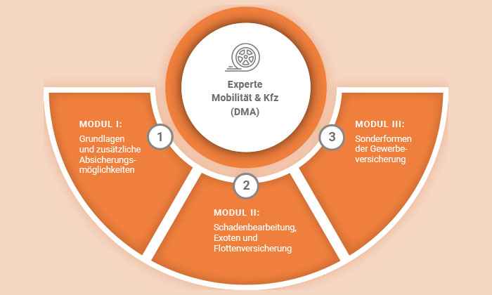 Experte Mobilität & Kfz  - Deutsche Makler Akademie