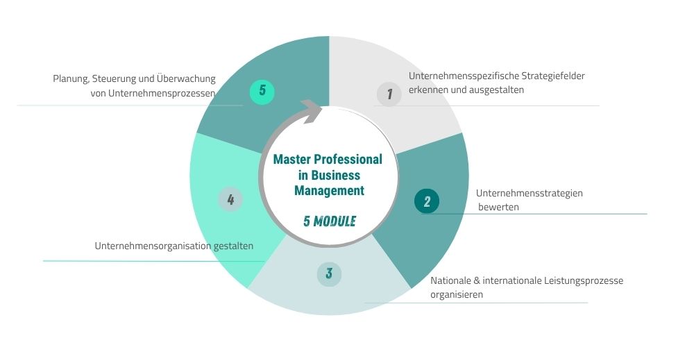 Master Professional in Business Management - Modulübersicht